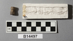 B14497