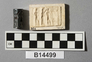 B14499
