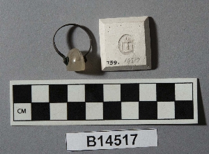 B14517