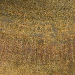 569145