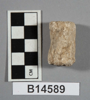 B14589