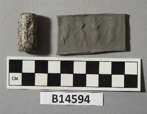 B14594