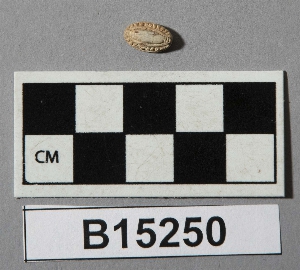 B15250