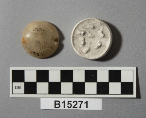 B15271