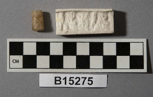 B15275