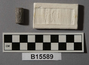 B15589