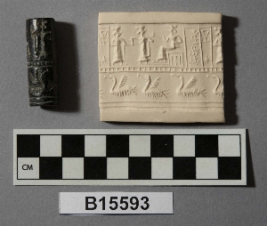 B15593