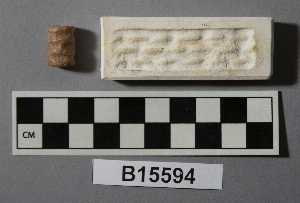 B15594