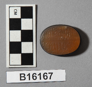 B16167