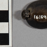 569625