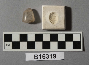 B16319