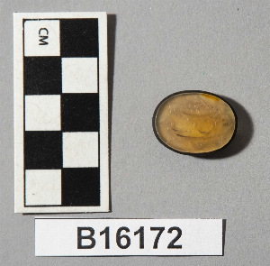 B16172
