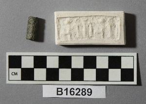 B16289