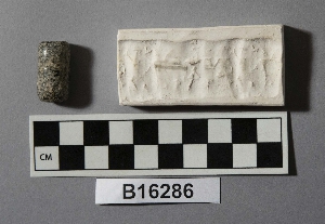 B16286