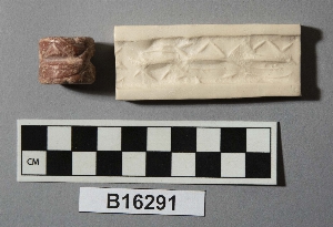 B16291
