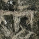 569753