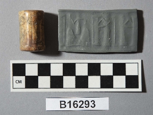 B16293