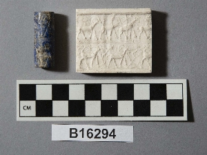 B16294