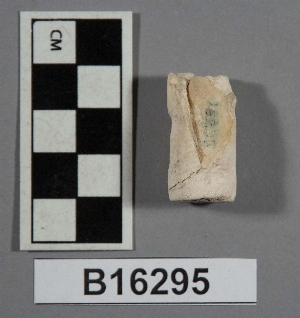 B16295