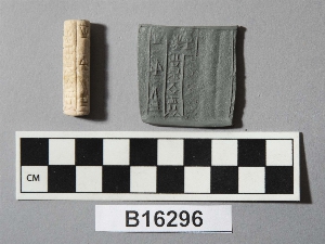 B16296