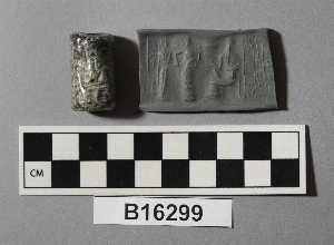B16299