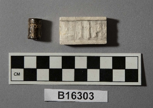 B16303