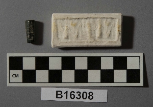 B16308