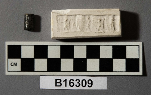 B16309