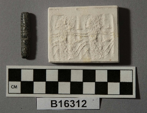 B16312