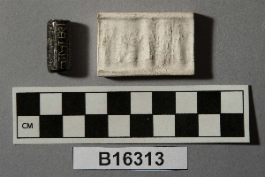 B16313