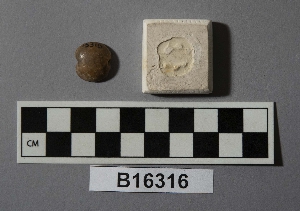 B16316