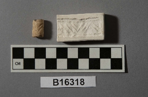 B16318