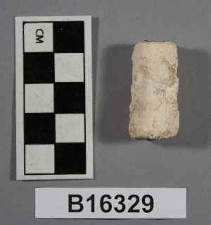 B16329