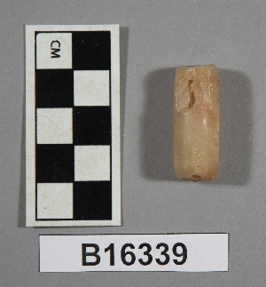 B16339