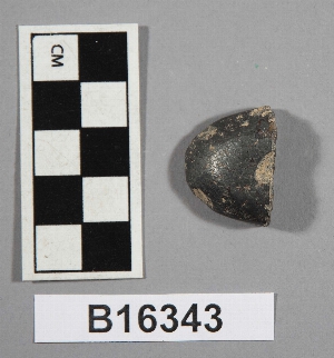 B16343