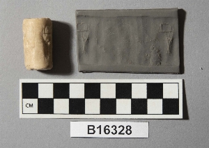 B16328