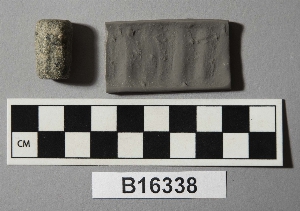 B16338
