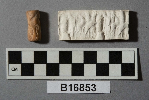 B16853