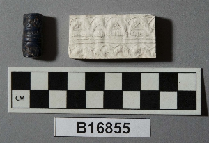 B16855