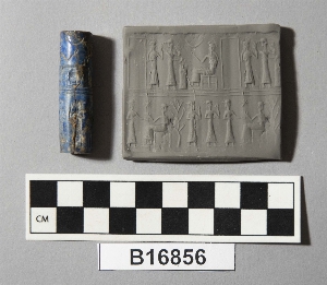 B16856