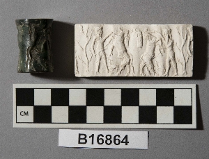 B16864