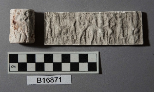 B16871