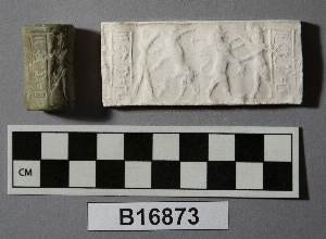 B16873