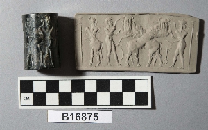 B16875