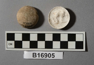 B16905