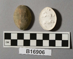B16906