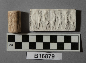 B16879