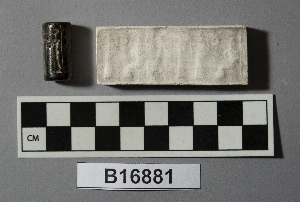B16881