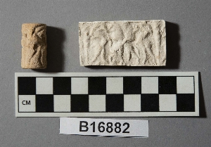 B16882
