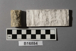 B16884